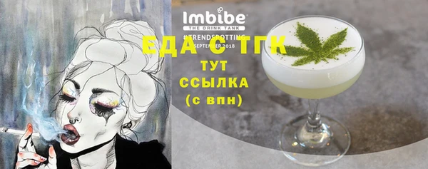 мдпв Ельня