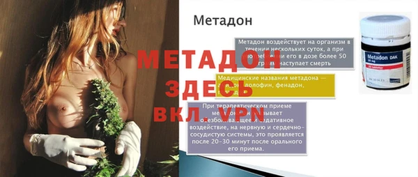 сатива Заводоуковск