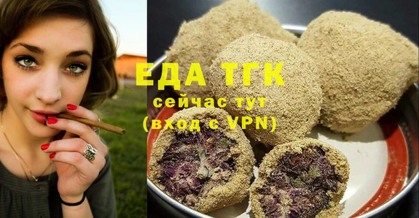 мдпв Ельня