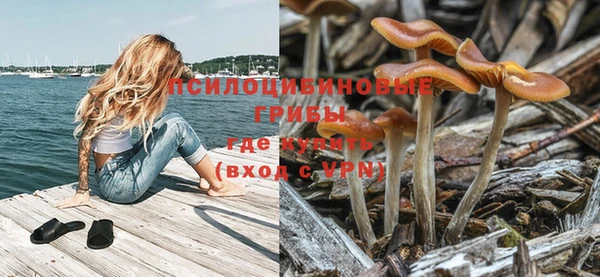 ПСИЛОЦИБИНОВЫЕ ГРИБЫ Елабуга