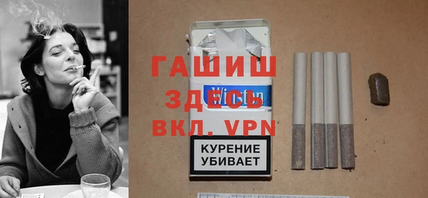 мдпв Ельня