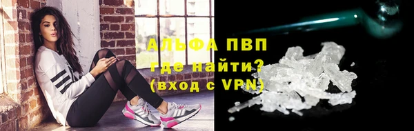 мдпв Ельня