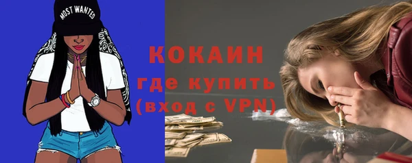мдпв Ельня