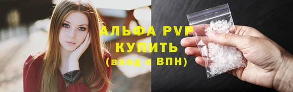 мдпв Ельня
