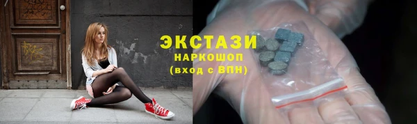 мдпв Ельня