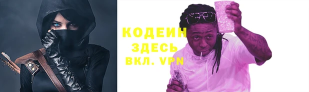 сатива Заводоуковск