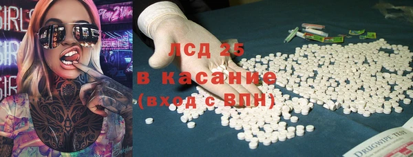 мдпв Ельня