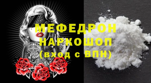 мдпв Ельня