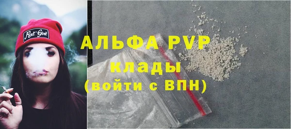 мдпв Ельня