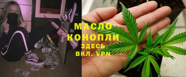 мдпв Ельня