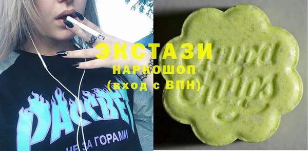 мдпв Ельня