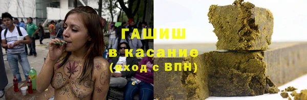 мдпв Ельня