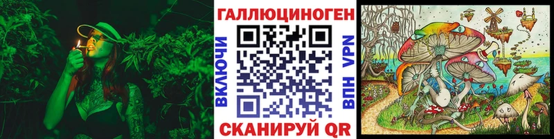 Галлюциногенные грибы Psilocybine cubensis  Купить закладки  Белореченск 